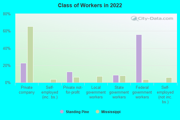 Class of Workers in 2022