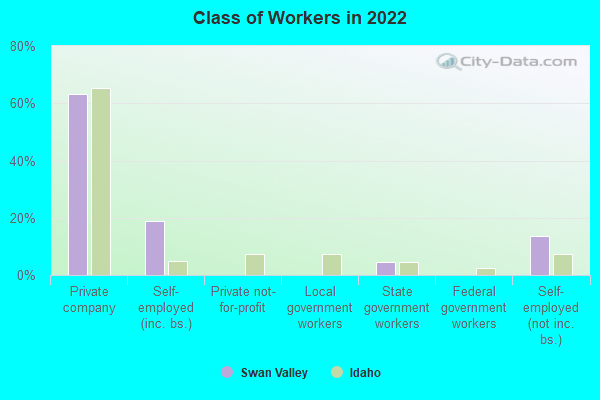 Class of Workers in 2022