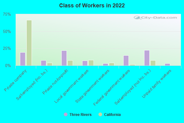 Class of Workers in 2022