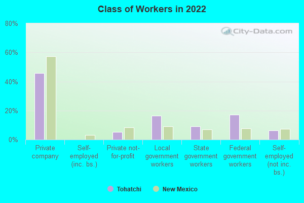 Class of Workers in 2022