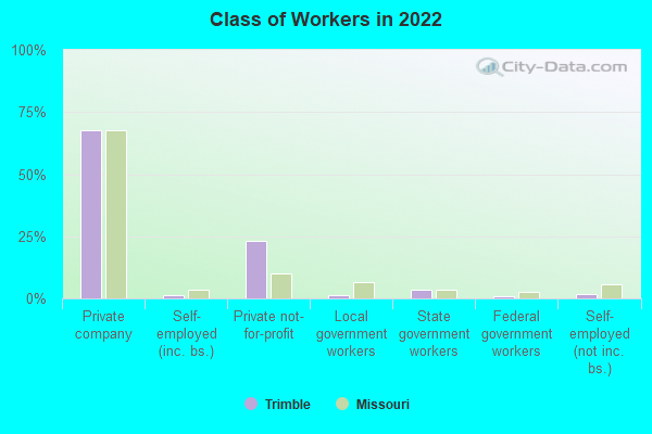 Class of Workers in 2022