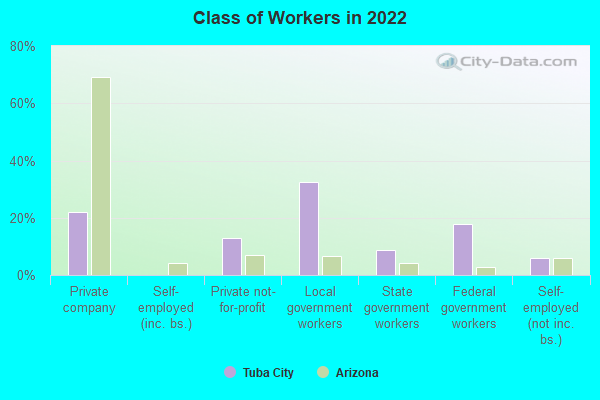 Class of Workers in 2022