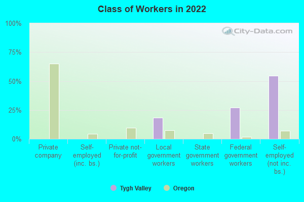 Class of Workers in 2022