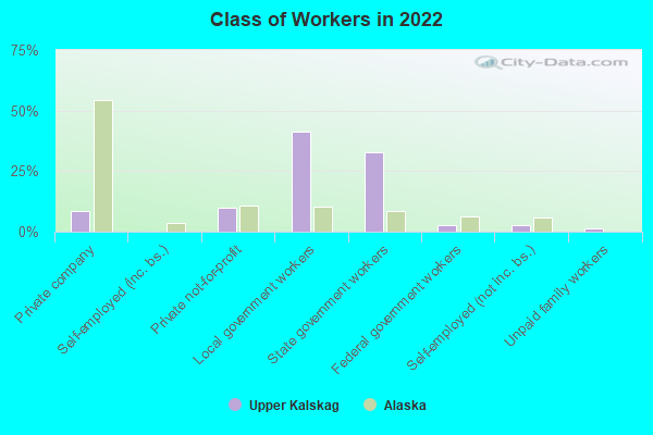 Class of Workers in 2022