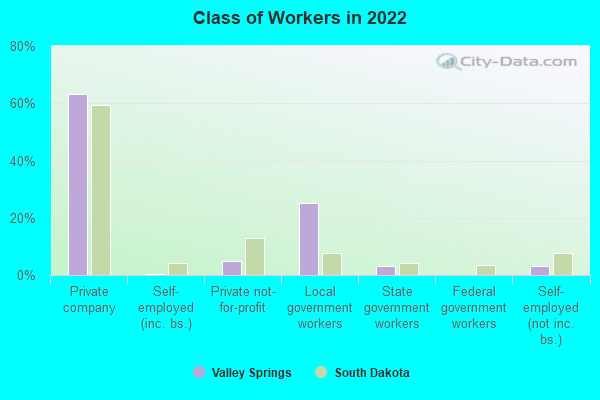 Class of Workers in 2022