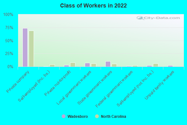 Class of Workers in 2022