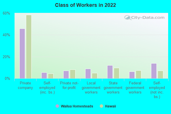 Class of Workers in 2022