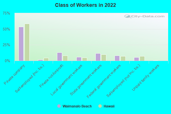 Class of Workers in 2022