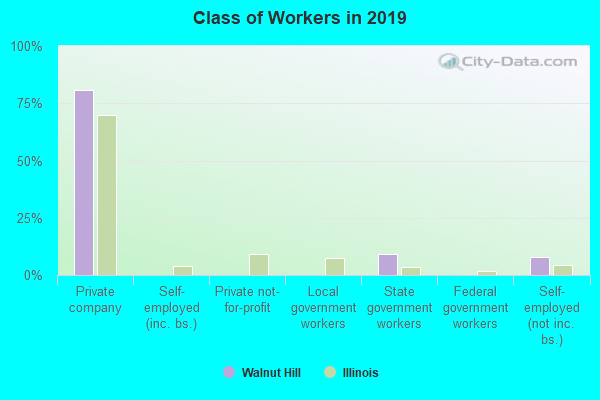 Class of Workers in 2022