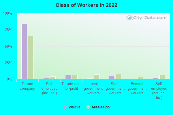 Class of Workers in 2022