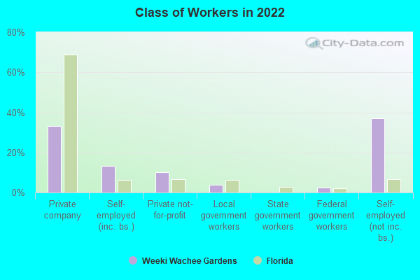 Class of Workers in 2022