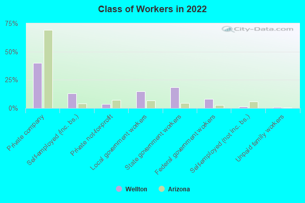 Class of Workers in 2022