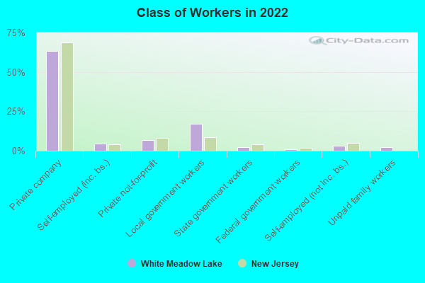 Class of Workers in 2022