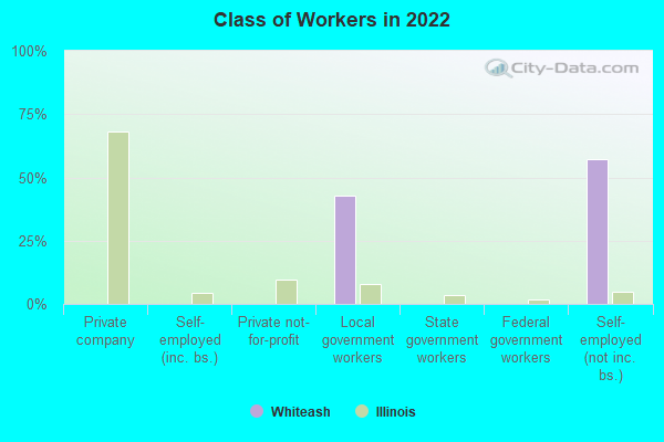 Class of Workers in 2022