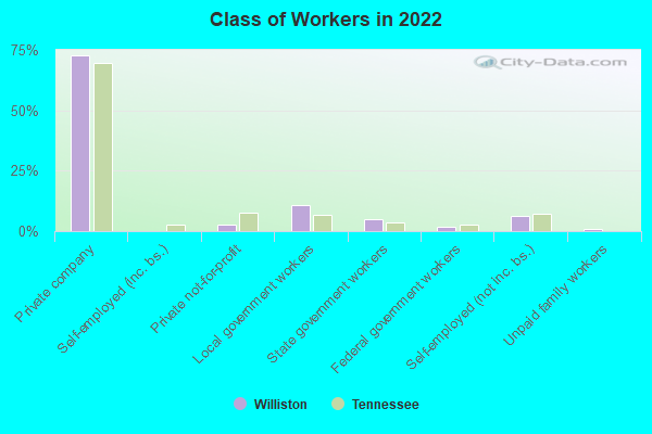 Class of Workers in 2022