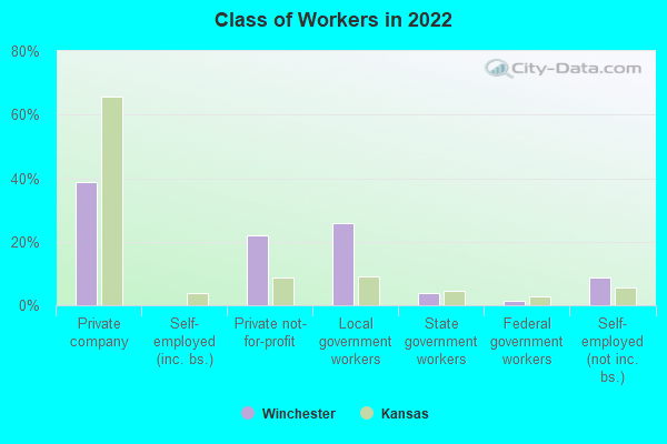 Class of Workers in 2022