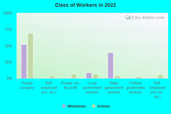 Class of Workers in 2022