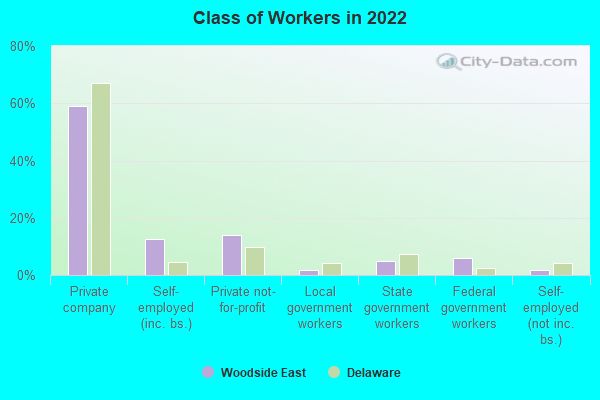 Class of Workers in 2022