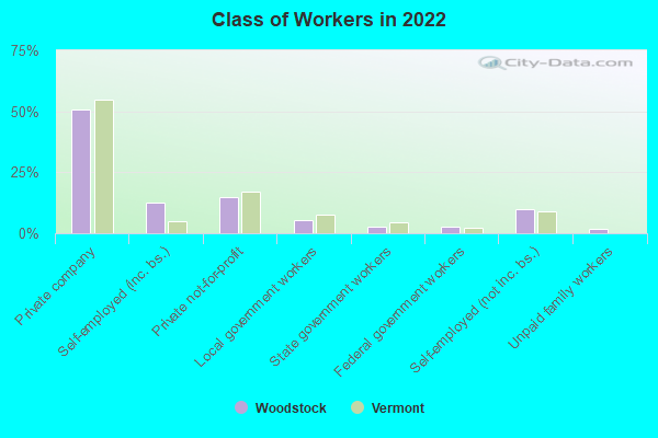 Class of Workers in 2022