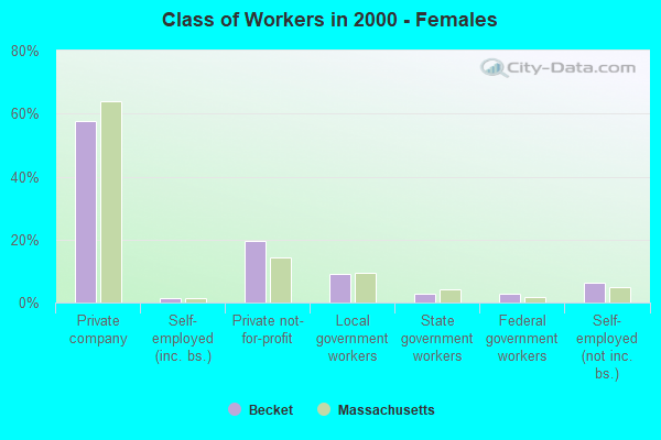 Class of Workers - Females