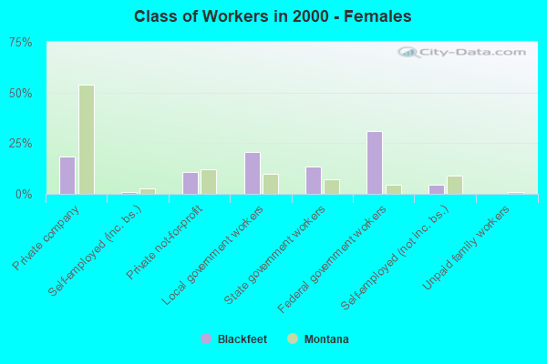 Class of Workers - Females