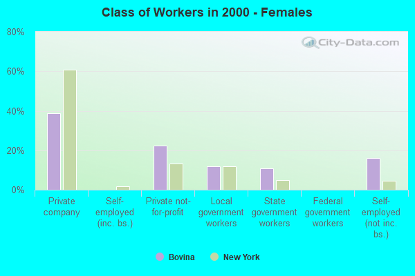 Class of Workers - Females