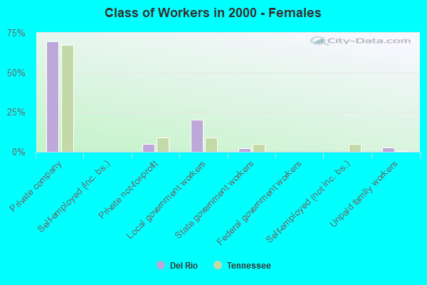 Class of Workers - Females