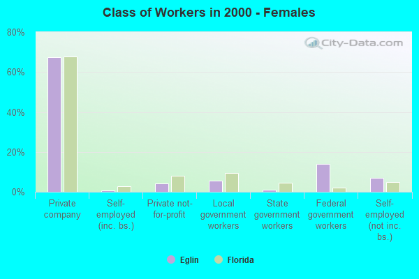 Class of Workers - Females