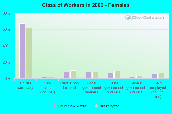 Class of Workers - Females