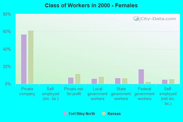 Class of Workers - Females