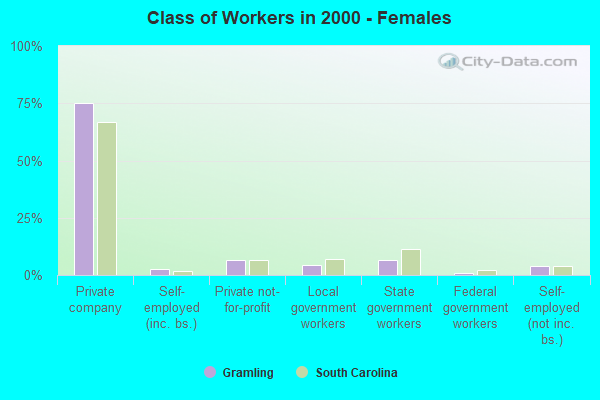 Class of Workers - Females