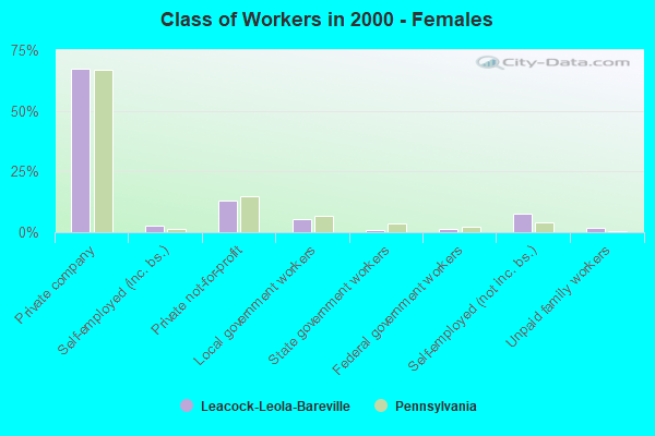 Class of Workers - Females