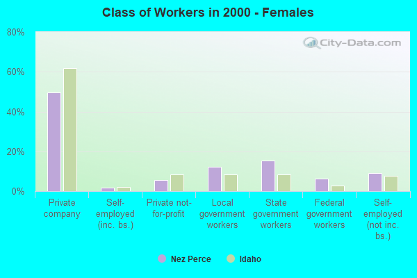 Class of Workers - Females