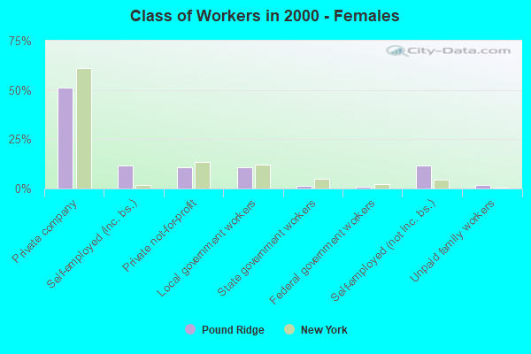 Class of Workers - Females