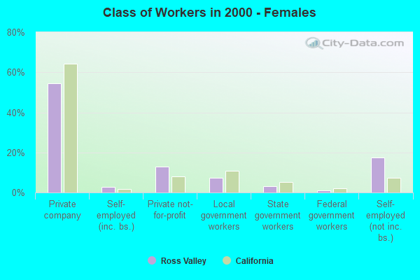 Class of Workers - Females