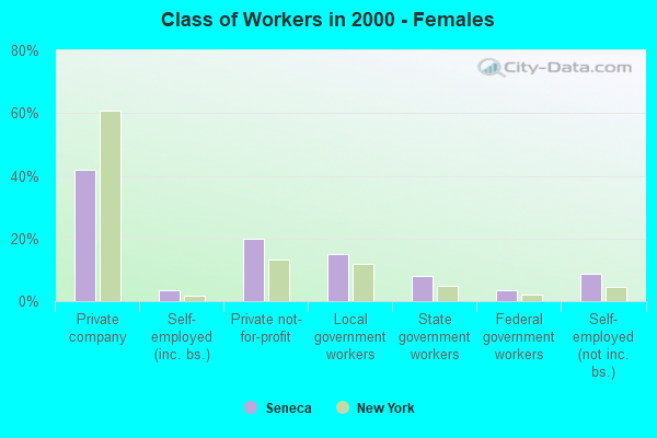 Class of Workers - Females