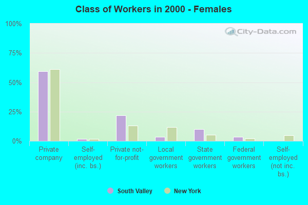 Class of Workers - Females