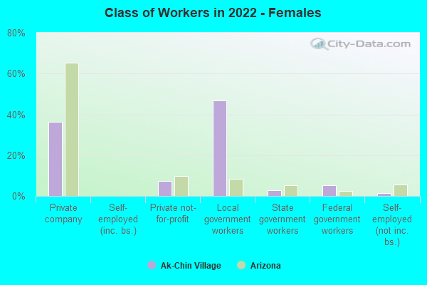 Class of Workers in 2022 - Females