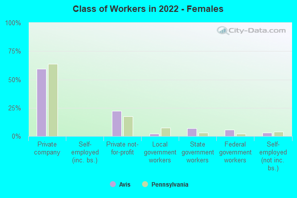 Class of Workers in 2022 - Females