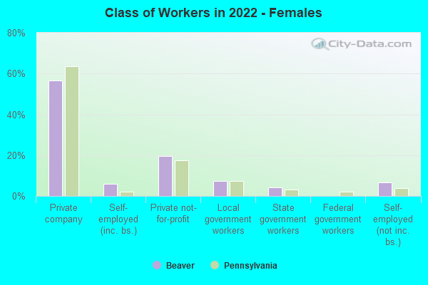 Class of Workers in 2022 - Females