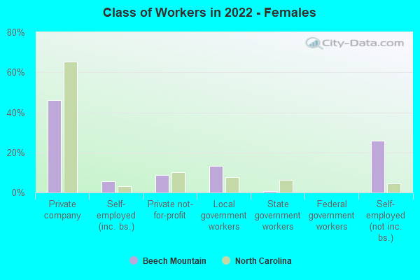 Class of Workers in 2022 - Females