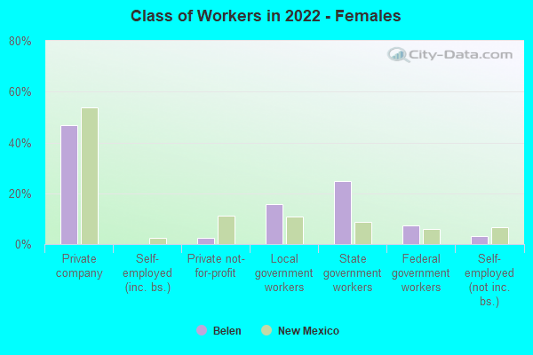 Class of Workers in 2022 - Females