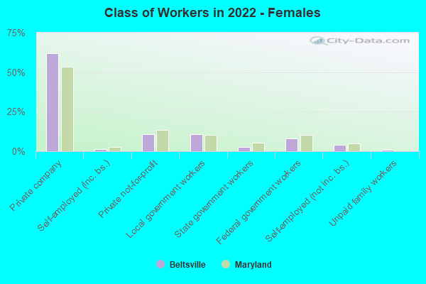 Class of Workers in 2022 - Females