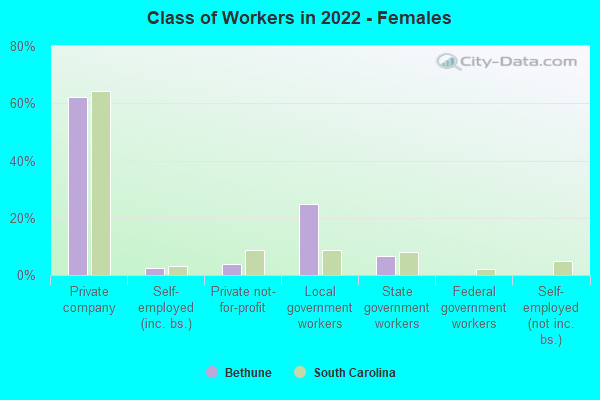 Class of Workers in 2022 - Females