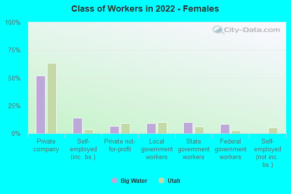 Class of Workers in 2022 - Females