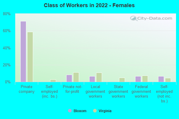 Class of Workers in 2022 - Females