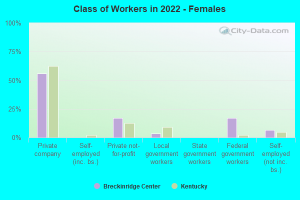 Class of Workers in 2022 - Females