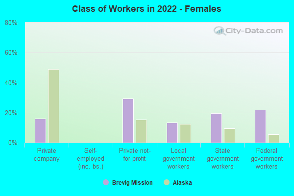 Class of Workers in 2022 - Females