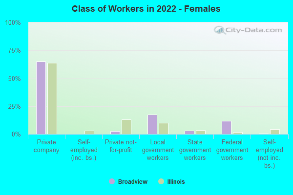 Class of Workers in 2022 - Females