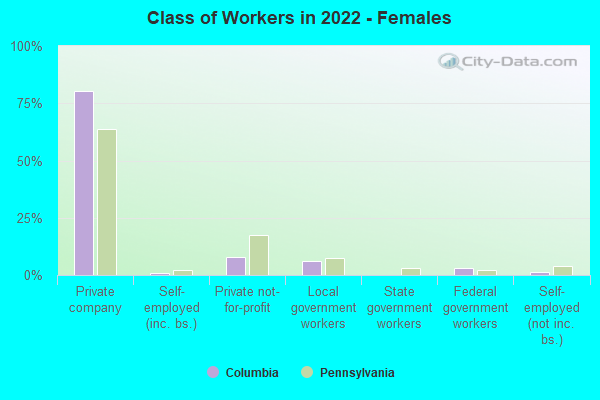 Class of Workers in 2022 - Females